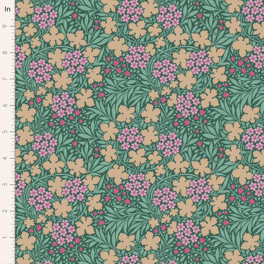 Hibernation Autumn Bloom Sage - TIL100539