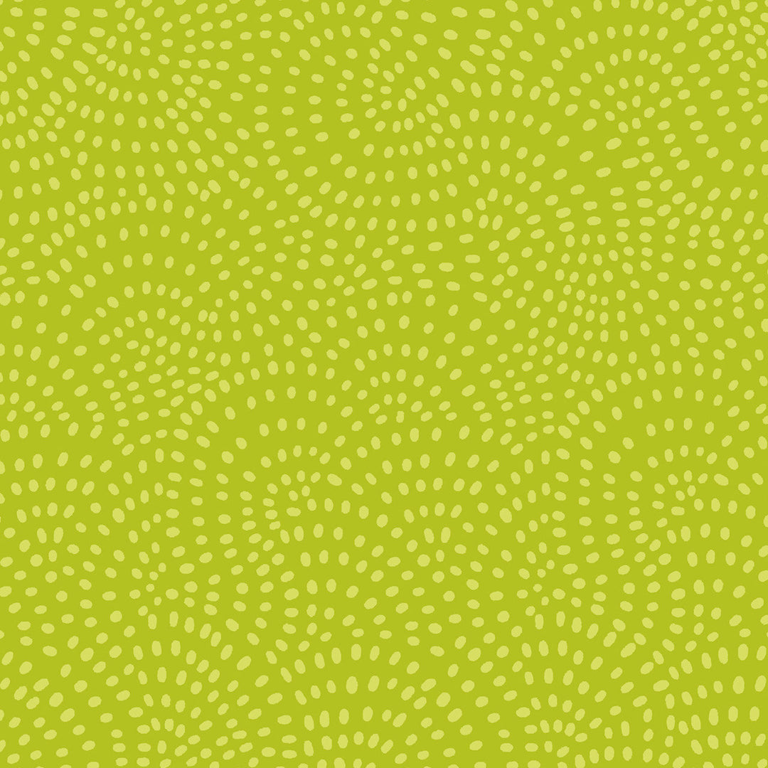 Twist Lime - Dashwood Studio