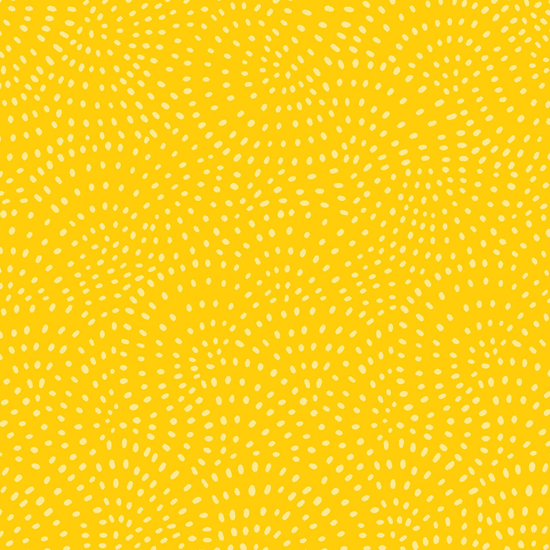 Twist Yellow - Dashwood Studio