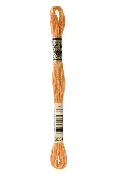 Floss Chai Spice - 117UA-3854