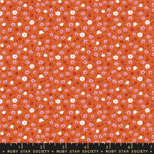 Lil Catalog Calico Pecan - RS3057 13 - Ruby Star Society