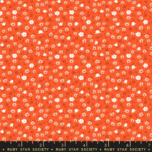 Lil Catalog Calico Florida - RS3057 14 - Ruby Star Society