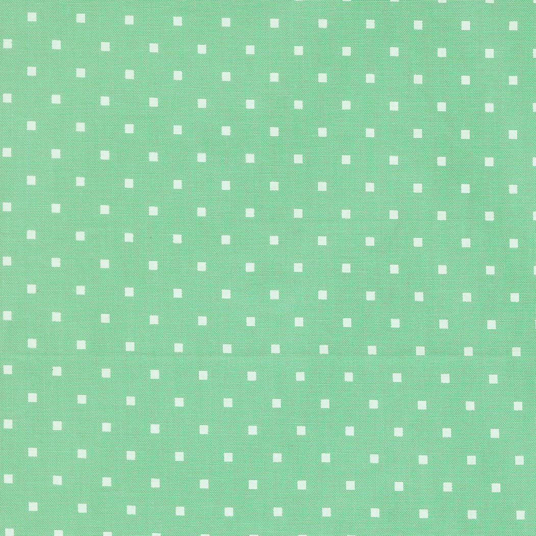 Pre-Order - A Cat Named Stitch Square Dots Green - 55345 19