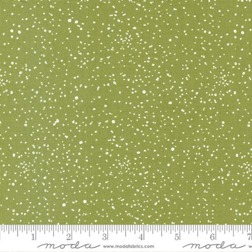 Blizzard - Pine Snow - 55626 13 - Sweetwater