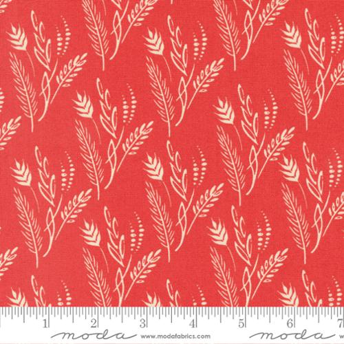 Grassland Blender Poppy Field - 45574 24 - Fancy That Design House