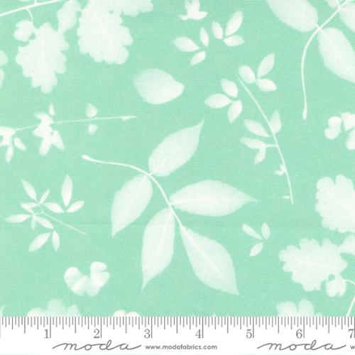 Bluebell - Leaf Sunprint Sage - 16961 14