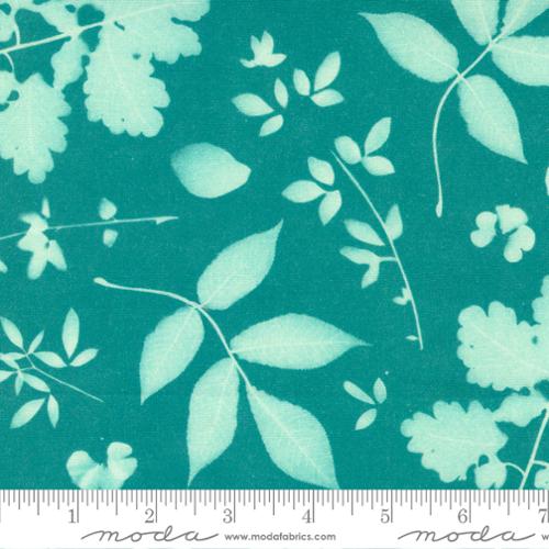 Bluebell - Leaf Sunprint Teal - 16961 15