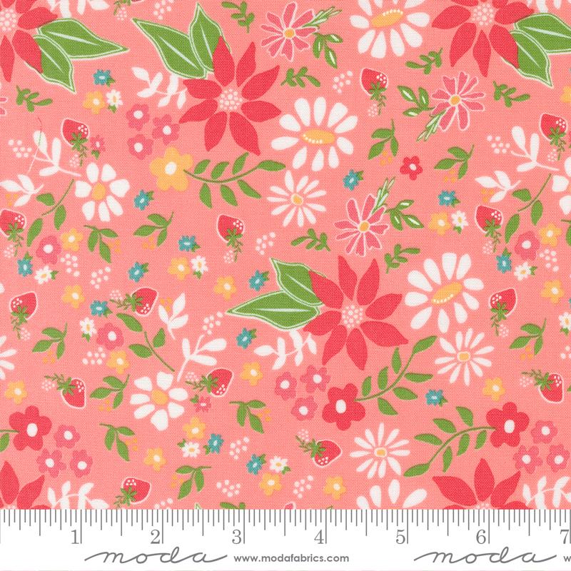 Strawberry Lemonade - Blossom Florals Carnation - 37670 12