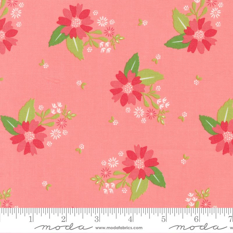 Strawberry Lemonade - Carnation Florals Carnation - 37671 12