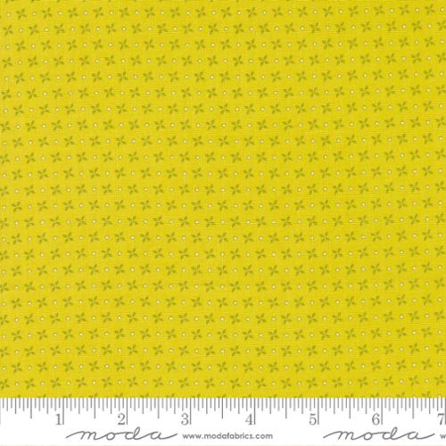 Strawberry Lemonade - Pinwheel Blender Lemonade - 37675 18