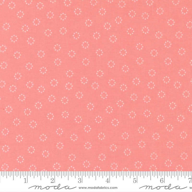 Strawberry Lemonade - Daisy Dots Carnation - 37677 12