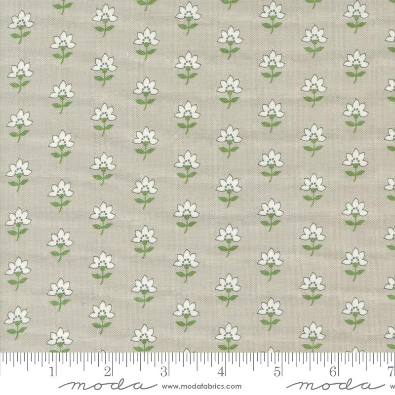 Shoreline - Coastal Grey Florals - 55301 16