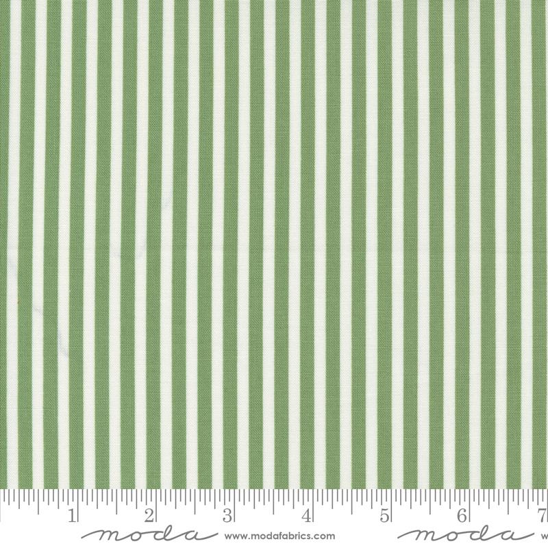Shoreline - Green Stripe - 55305 15