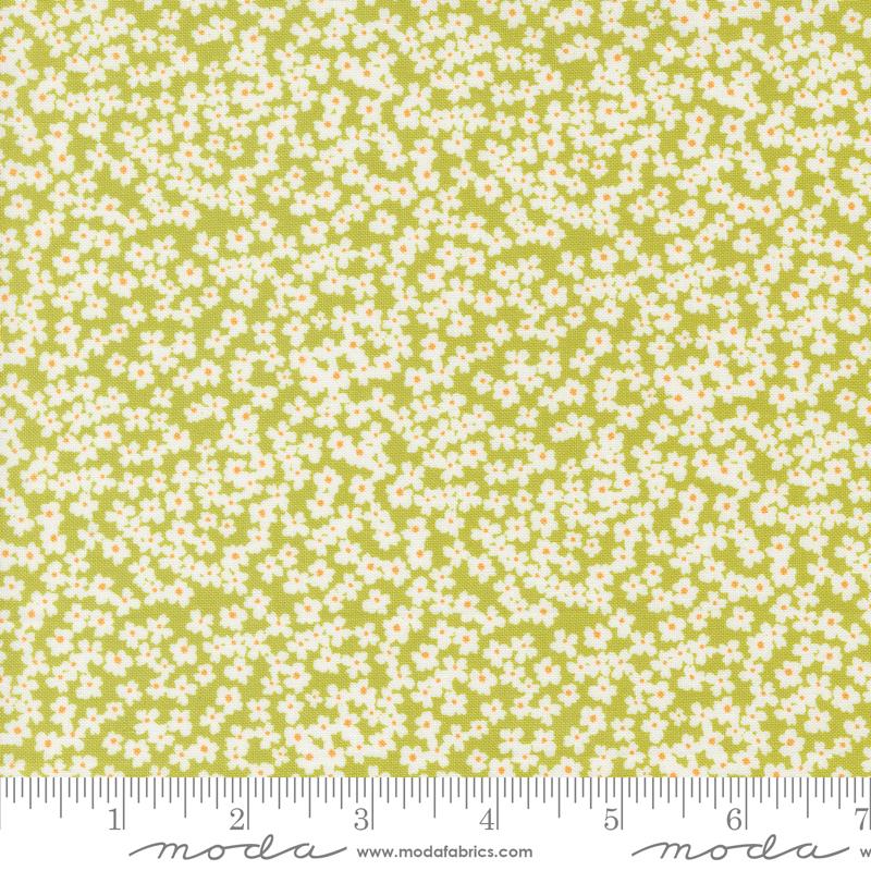 Shine - Small Blooms Grass - 55672 16