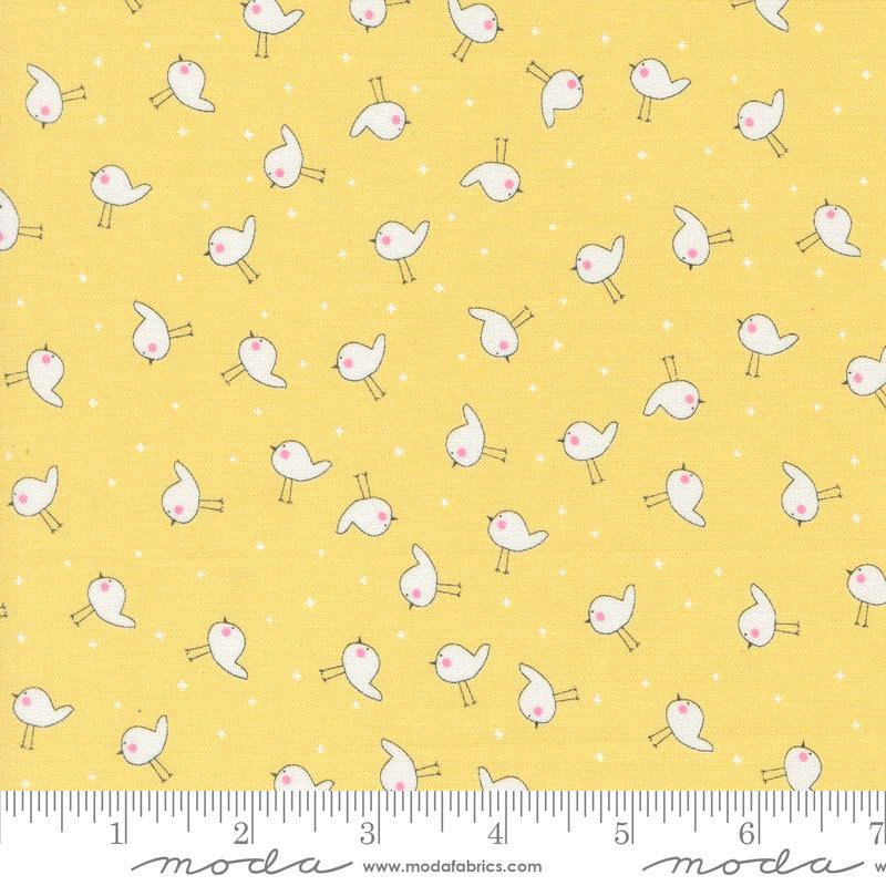 Shine - Little Birdie Sun - 55674 24