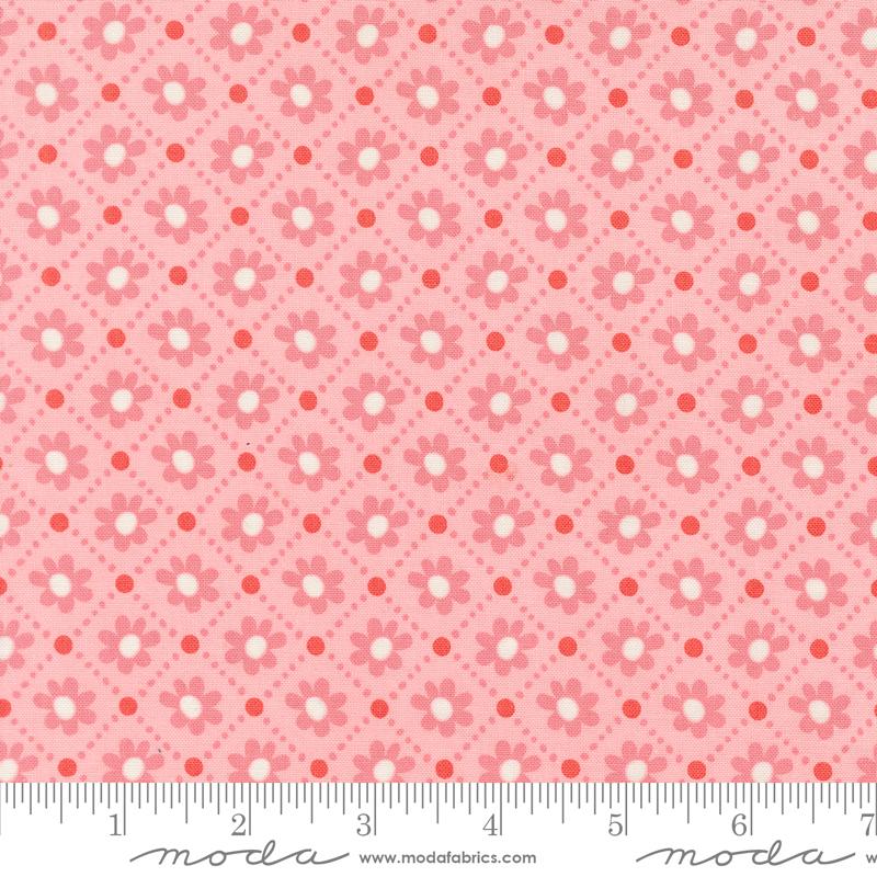 Pink background with pink daisies