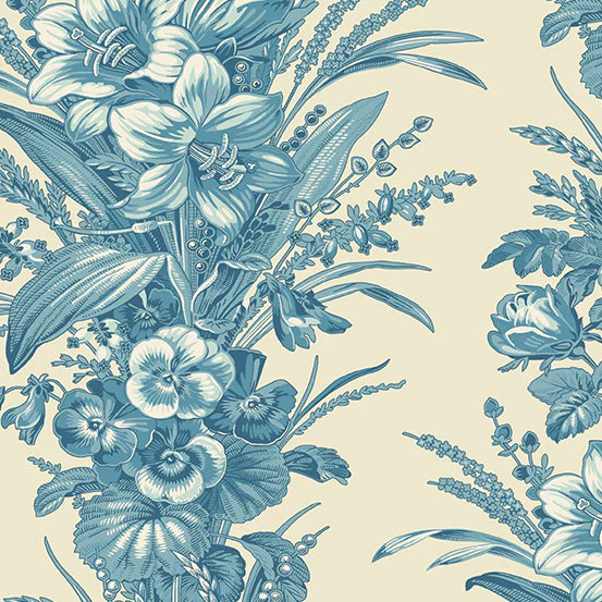 Cocoa Blue - Amaryllis Bleu - A-725-LB