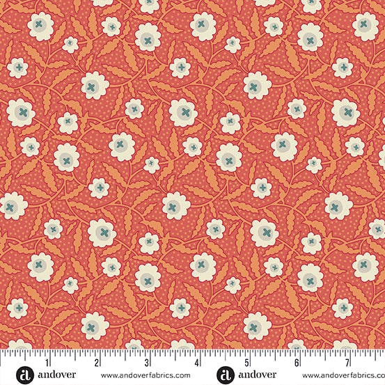 Flower Box - Bachelor Button Orange - A-1016-O