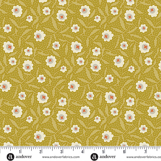 Flower Box - Bachelor Button Chartreuse - A-1016-Y