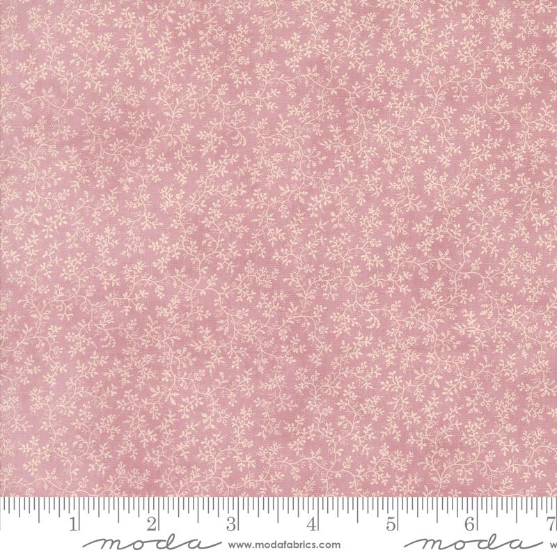 Lavender Fields - Vine Orchid - 44363 24