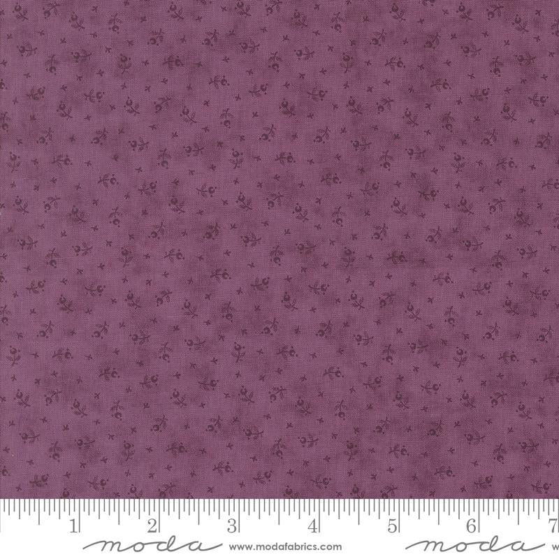 Lavender Fields - Berry Toss Pansy - 44364 29