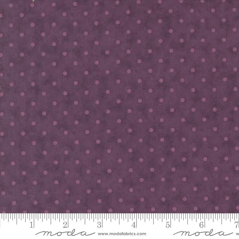 Lavender Fields - Perfect Dots Auber - 44365 30
