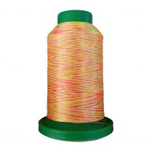 Isacord Variegated 1000m - Poly - Neon Brights - 2922-9914