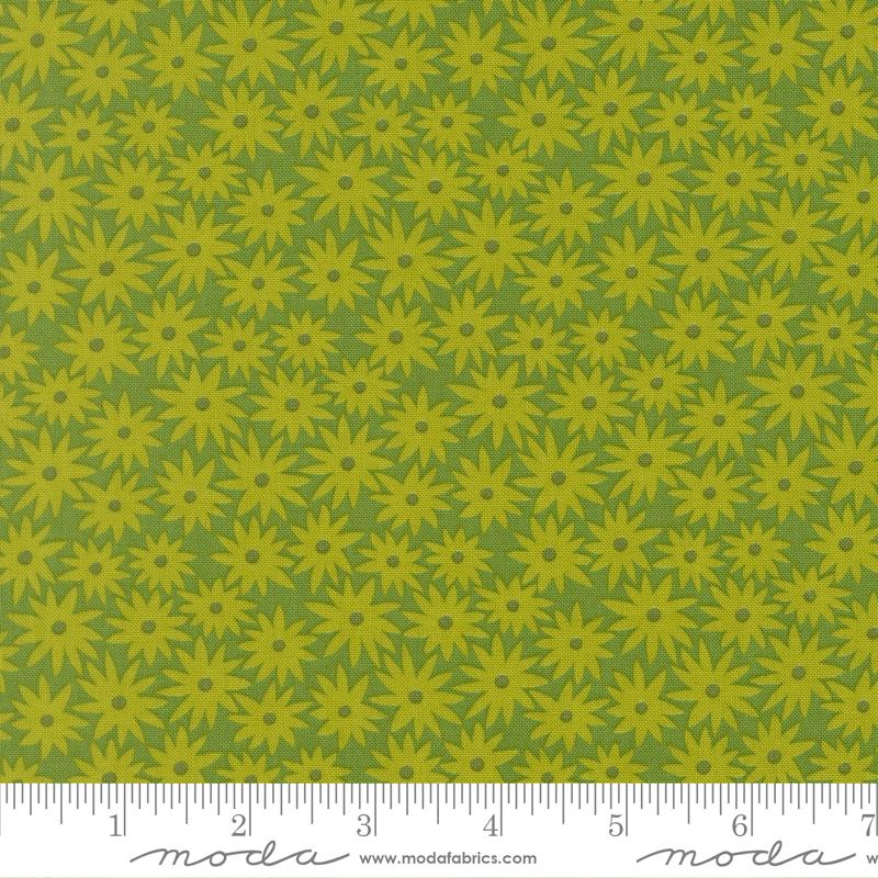 Pre-Order Scenery - Sedum Limeade - 51270 14