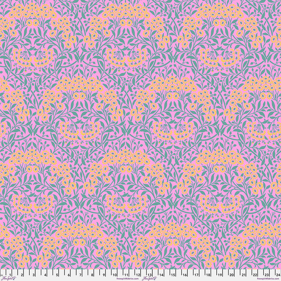 Michaelmas Daisy - Pink - PWKW007.PINK