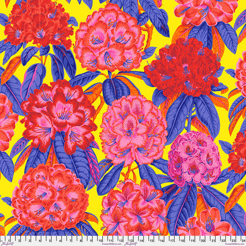 Rhododendrons - Hot - PWPJ124.HOT