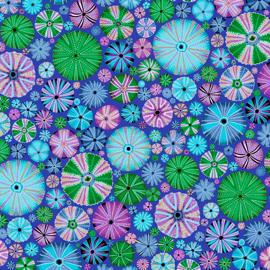 Urchin - Blue - PWPJ125.BLUE