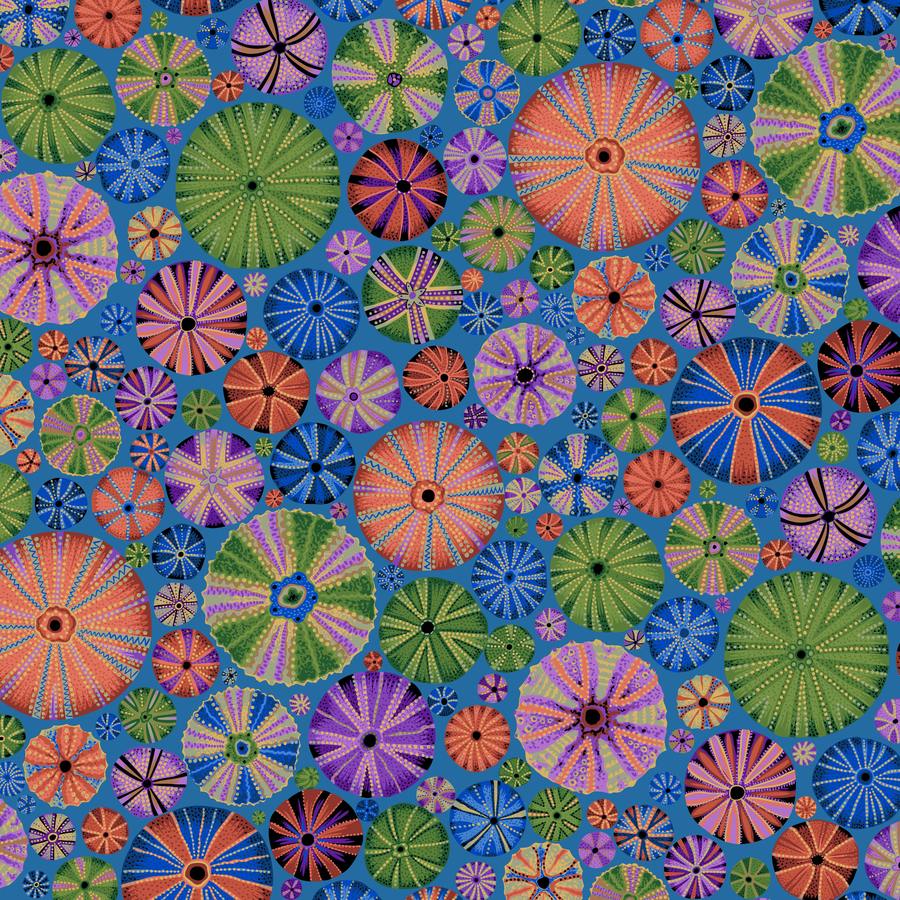 Urchin - Dark - PWPJ125.DARK