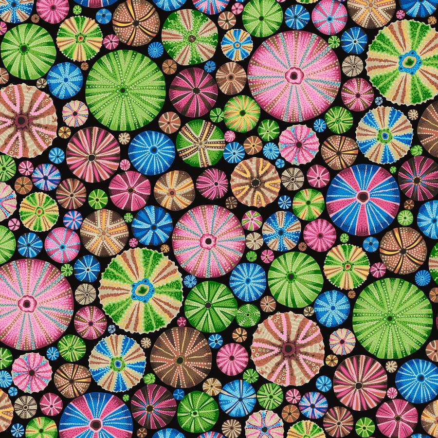 Urchin - Multi - PWPJ125.MULTI