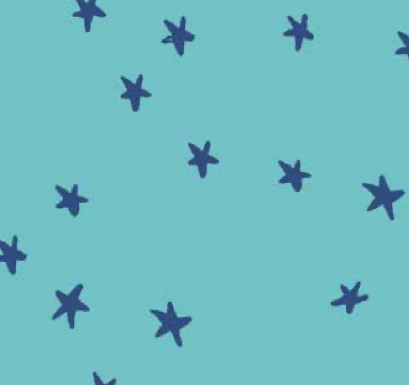 Starry - Turquoise - RS4109 43 - Ruby Star Society