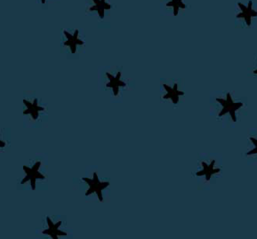 Starry - Smoke - RS4109 45 - Ruby Star Society