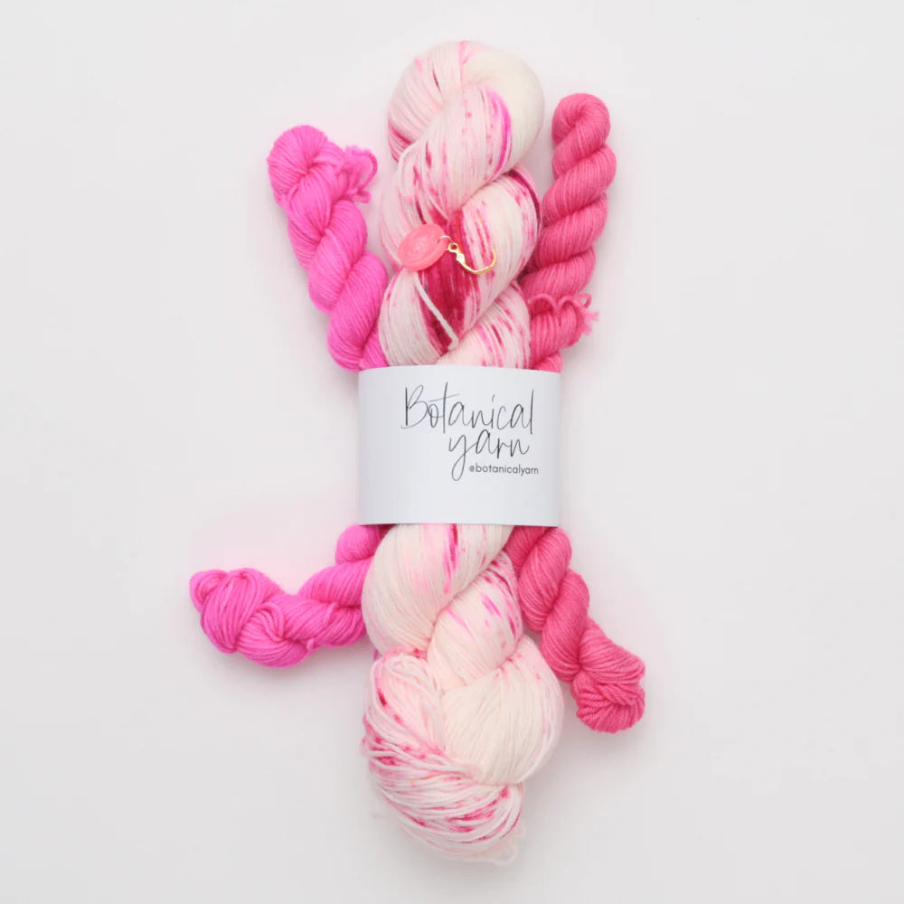 Starlight Knitting Society Sock Set