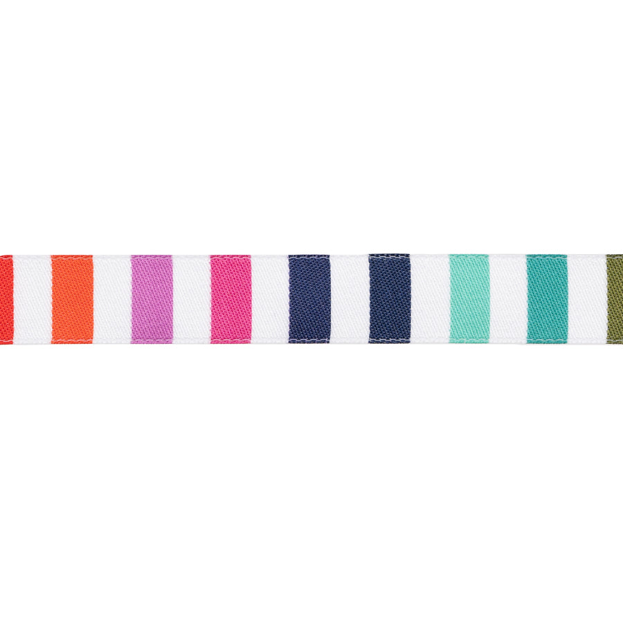 Pre-Order Tula Pink Ribbon - Rainbow Stripe 5/8" - TK-113 - Free Spirit