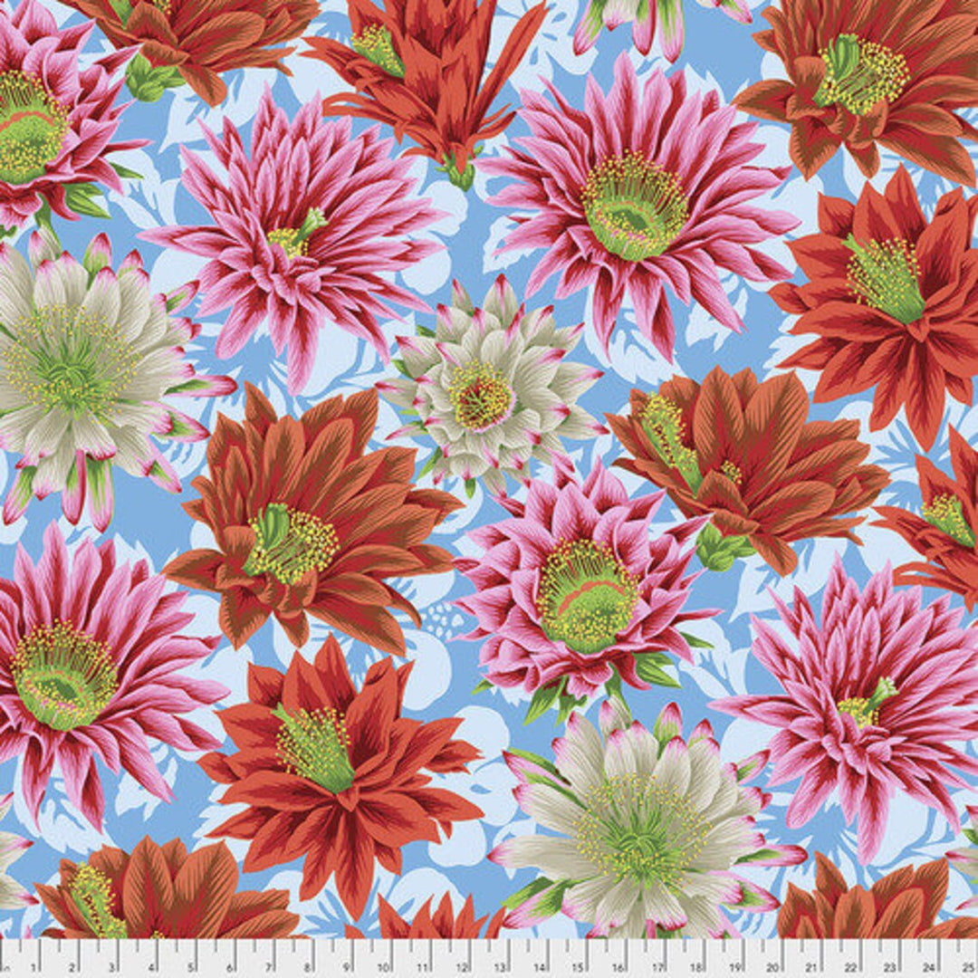 Cactus Flower Multi