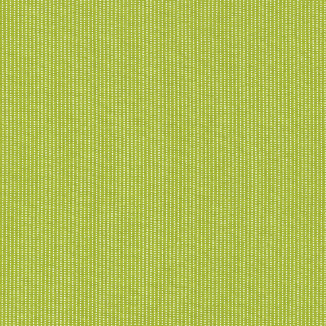 Green Perforated Stripe - MAS8259-G