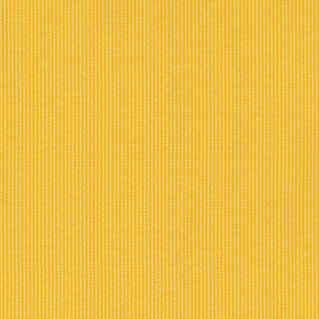 Yellow Perforated Stripe - MAS8259-S