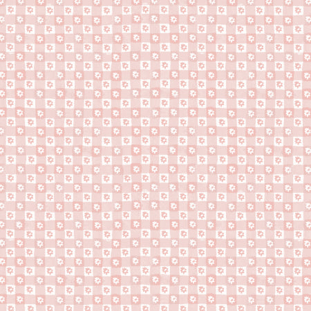Daisy gingham blush design