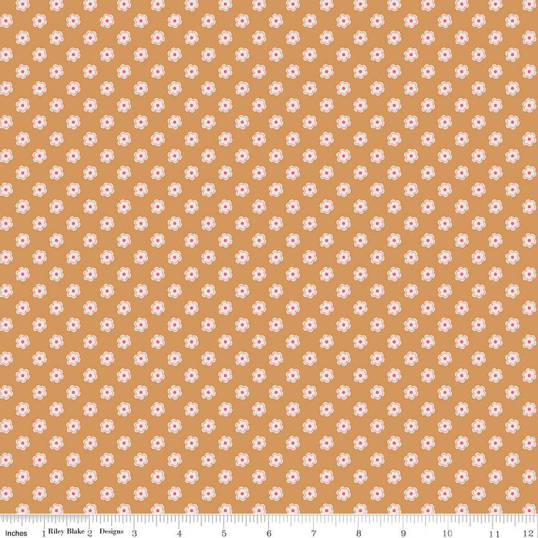Bee Dots - Verona Cider - C14165-Cider