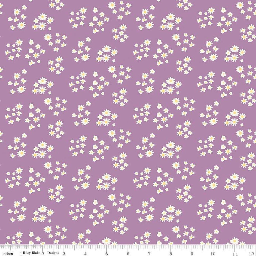 Hello Spring Daisies Lavender- C12962-LAVENDER