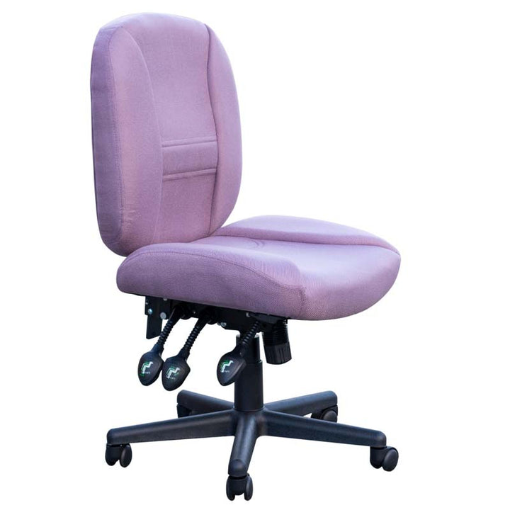Horn of America Chair: 6-Way Deluxe Adjustable Chair