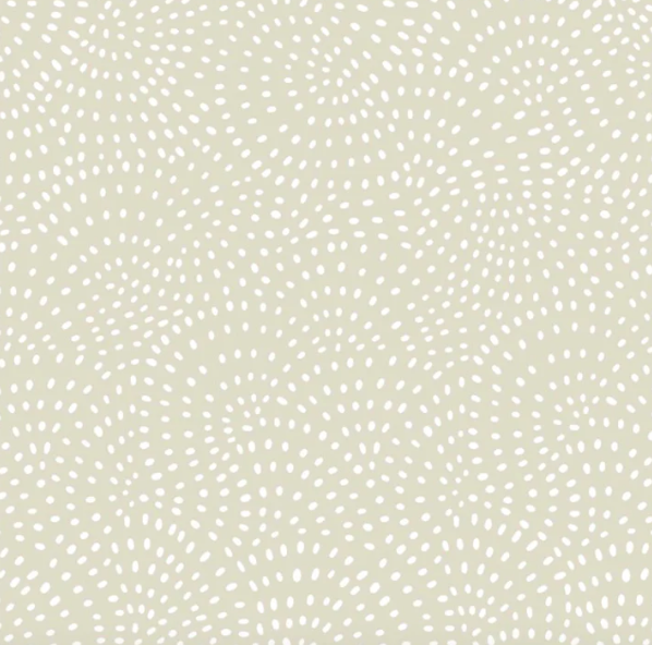 Twist Almond- Dashwood Studio