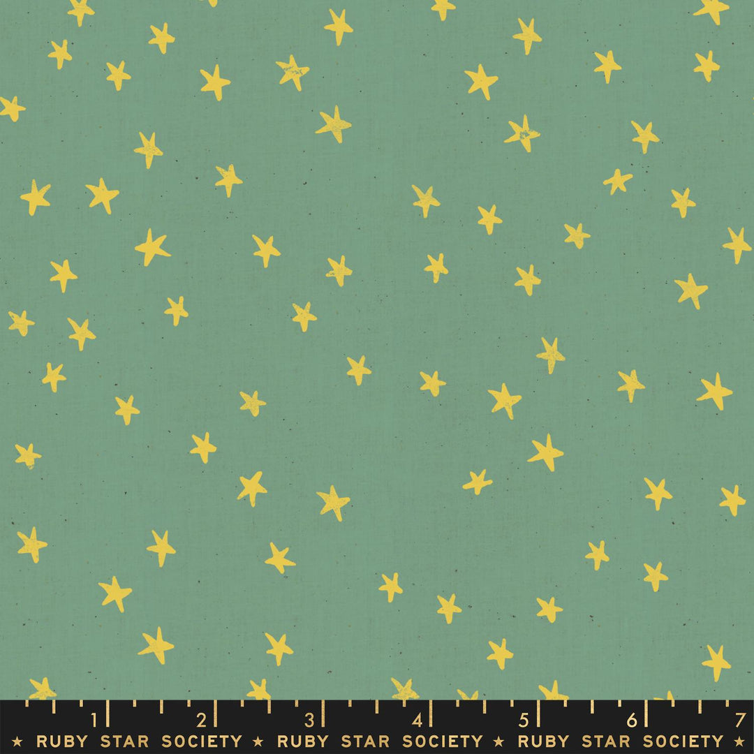 Starry - Soft Aqua - RS4006 24 - Ruby Star Society