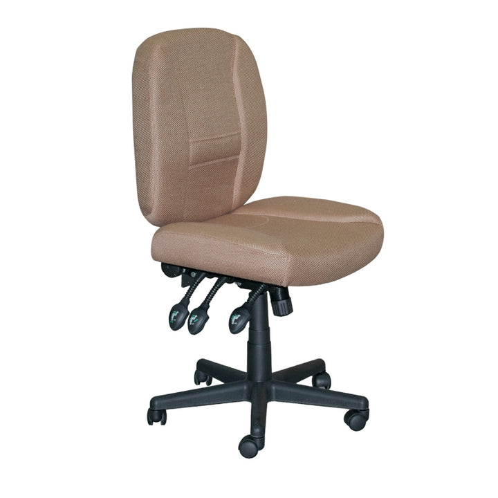 Horn of America Chair: 6-Way Deluxe Adjustable Chair