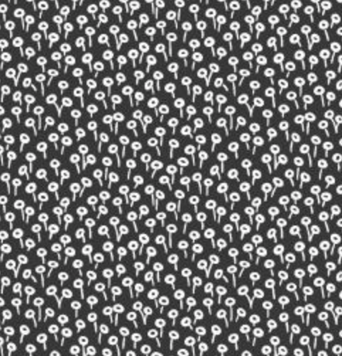 Tapestry Dot- Black - RP501-BK5