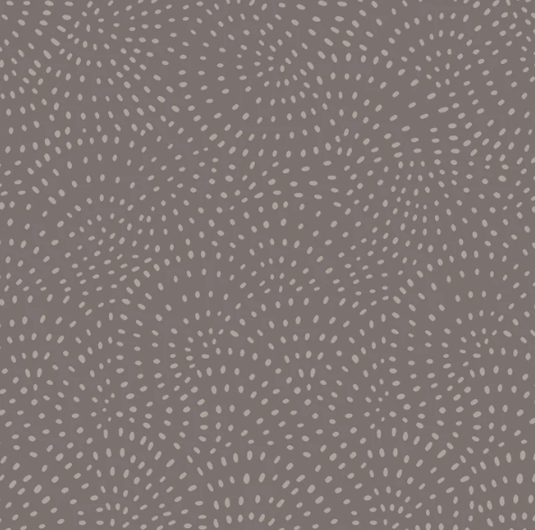 Twist Steel- Dashwood Studio