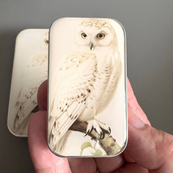 Notions Tin